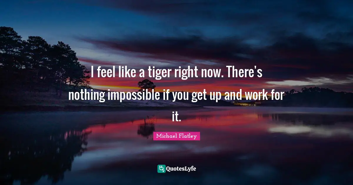 I feel like a tiger right now. There's nothing impossible if you get up and work for it.