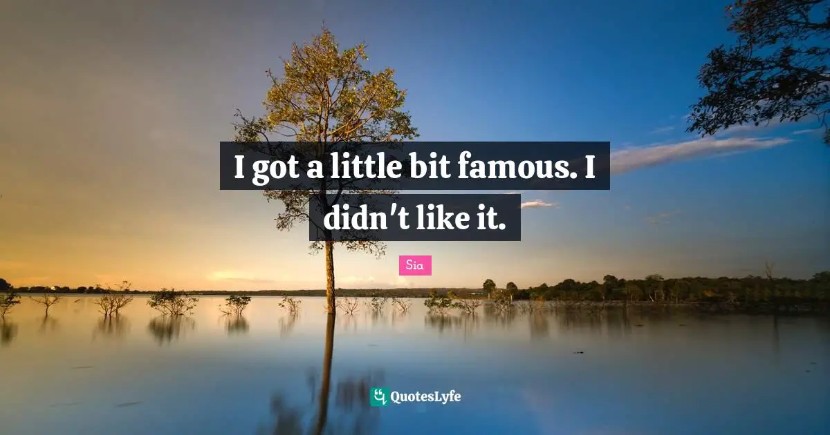 I got a little bit famous. I didn't like it.