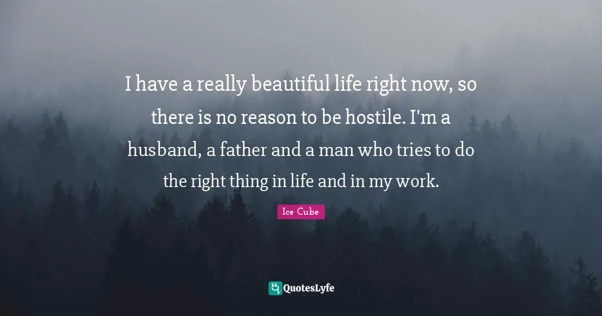 I have a really beautiful life right now, so there is no reason to be hostile. I'm a husband, a father and a man who tries to do the right thing in life and in my work.