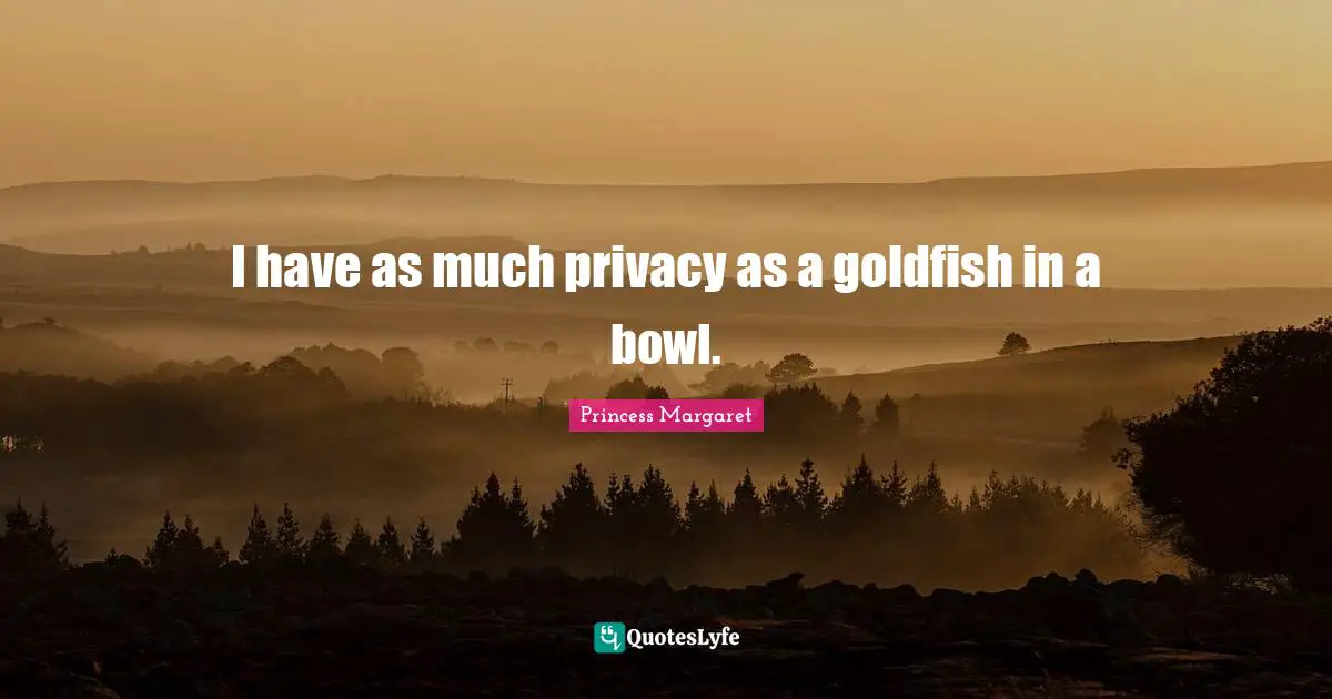 I have as much privacy as a goldfish in a bowl.