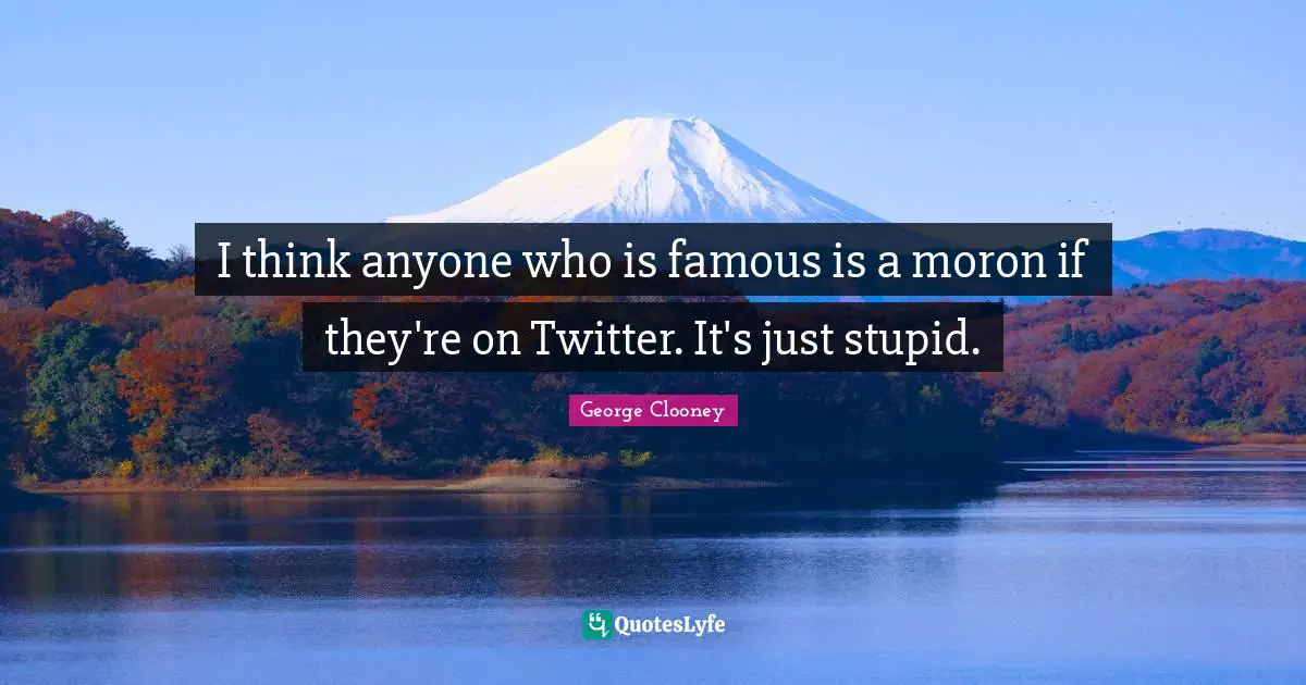 I think anyone who is famous is a moron if they're on Twitter. It's just stupid.