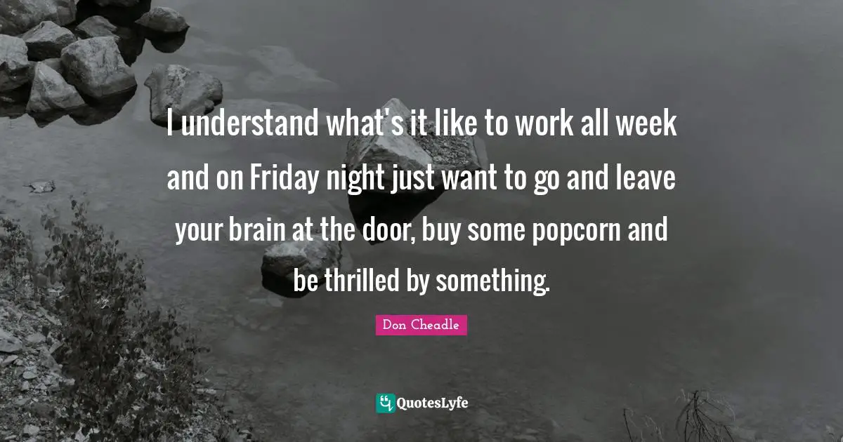 Don Cheadle Quotes: "I understand what's it like to work all week and on Friday night just want to go and leave your brain at the door, buy some popcorn and be thrilled by something."