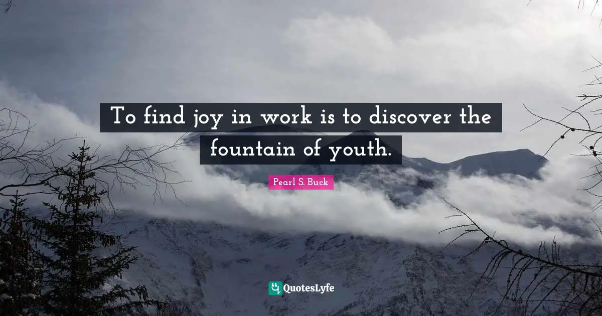 Youth Quotes: "To find joy in work is to discover the fountain of youth."