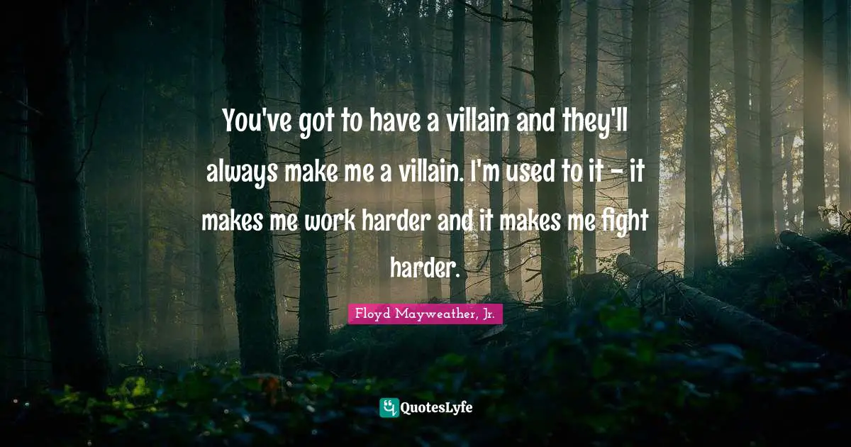 You've got to have a villain and they'll always make me a villain. I'm used to it - it makes me work harder and it makes me fight harder.