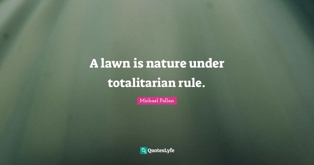 A lawn is nature under totalitarian rule.