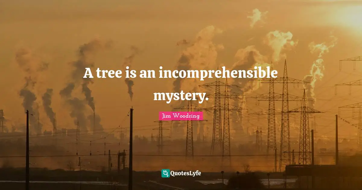 A tree is an incomprehensible mystery.