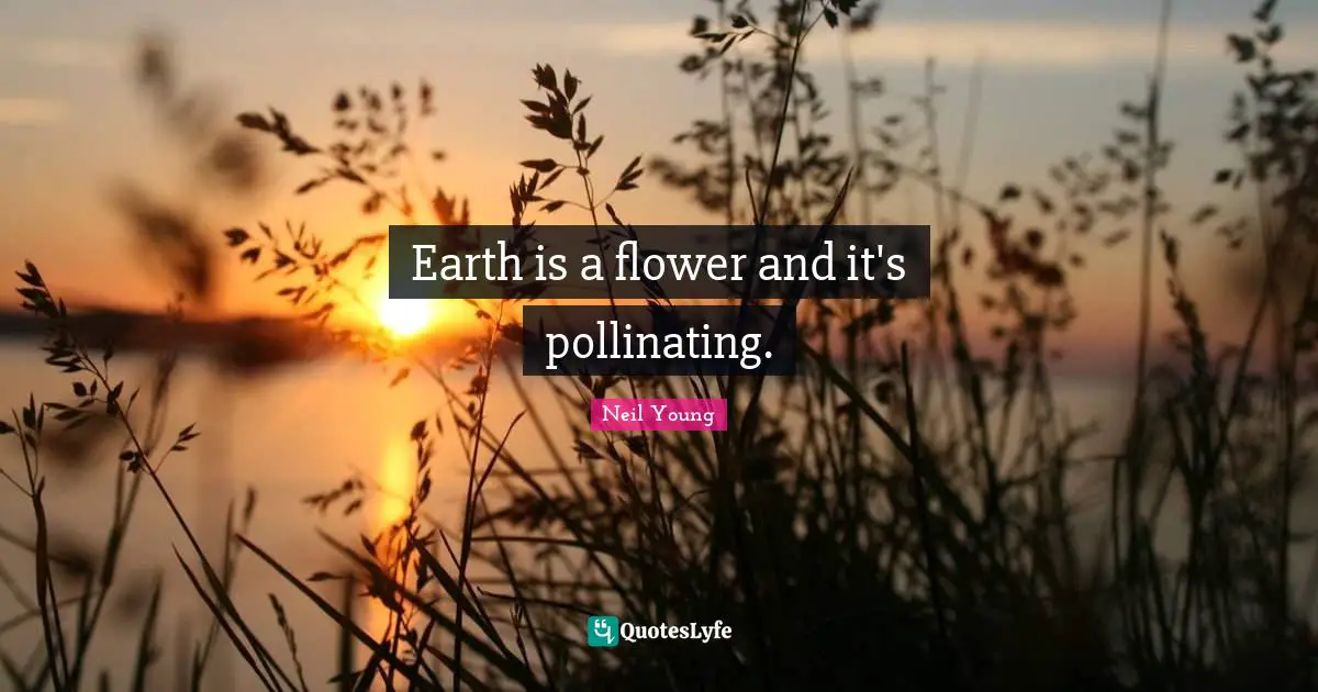 Earth is a flower and it's pollinating.