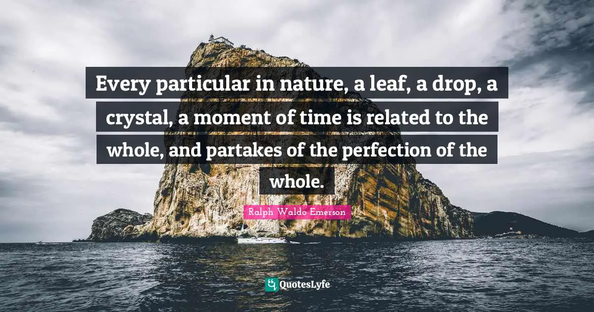 Every particular in nature, a leaf, a drop, a crystal, a moment of time is related to the whole, and partakes of the perfection of the whole.