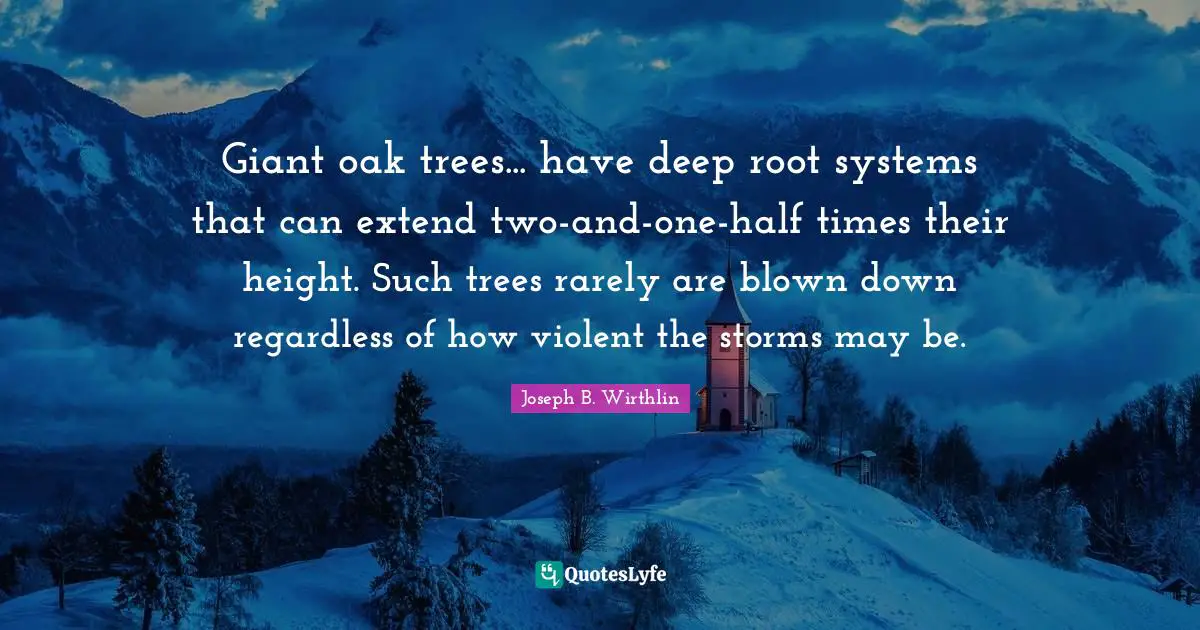 Giant oak trees... have deep root systems that can extend two-and-one-half times their height. Such trees rarely are blown down regardless of how violent the storms may be.