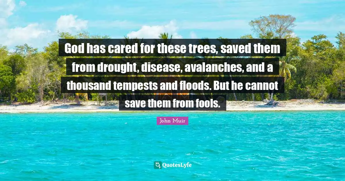 God has cared for these trees, saved them from drought, disease, avalanches, and a thousand tempests and floods. But he cannot save them from fools.