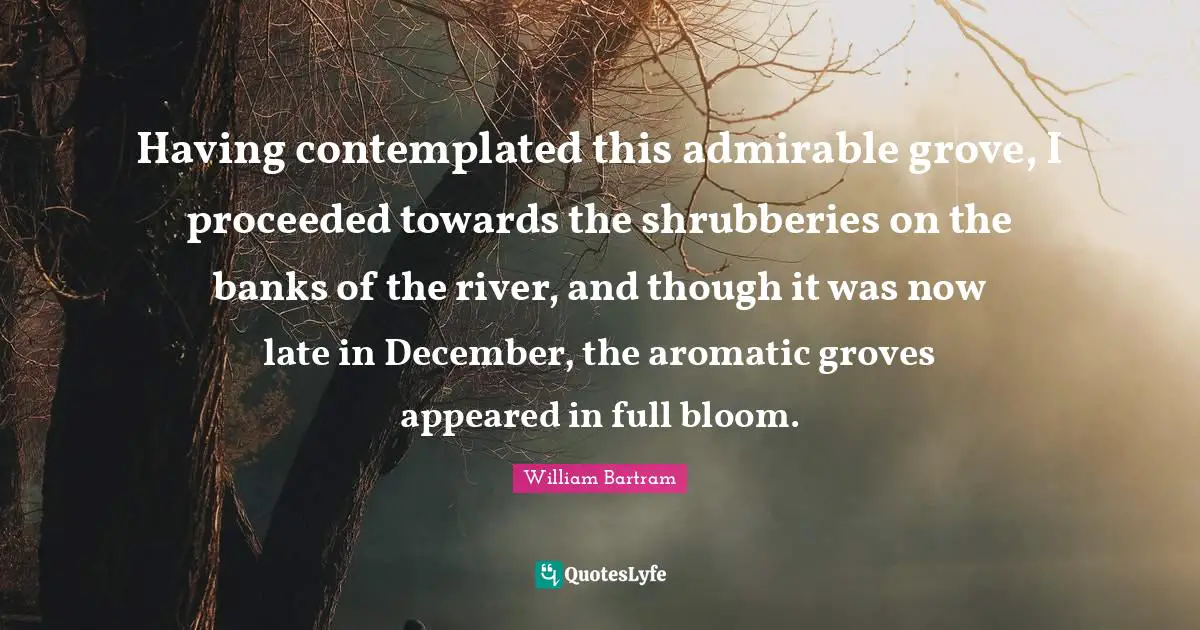 Having contemplated this admirable grove, I proceeded towards the shrubberies on the banks of the river, and though it was now late in December, the aromatic groves appeared in full bloom.