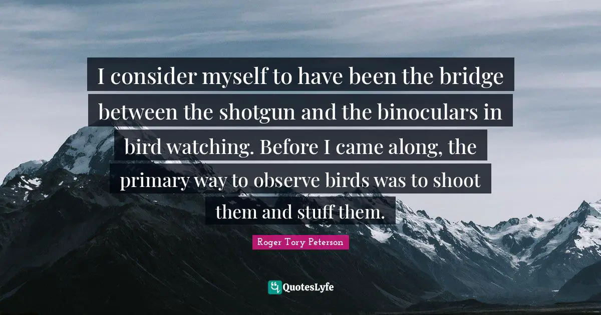 I consider myself to have been the bridge between the shotgun and the binoculars in bird watching. Before I came along, the primary way to observe birds was to shoot them and stuff them.