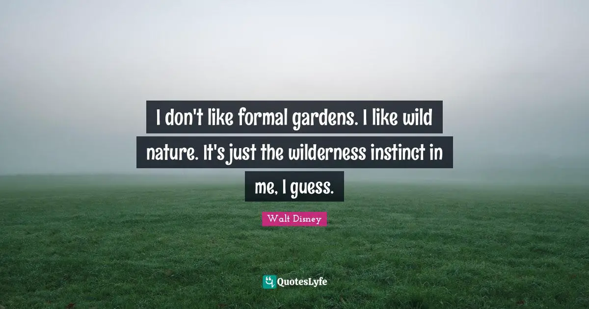 I don't like formal gardens. I like wild nature. It's just the wilderness instinct in me, I guess.