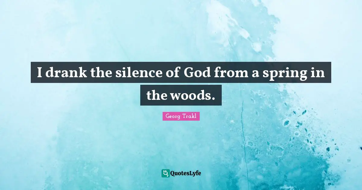 I drank the silence of God from a spring in the woods.