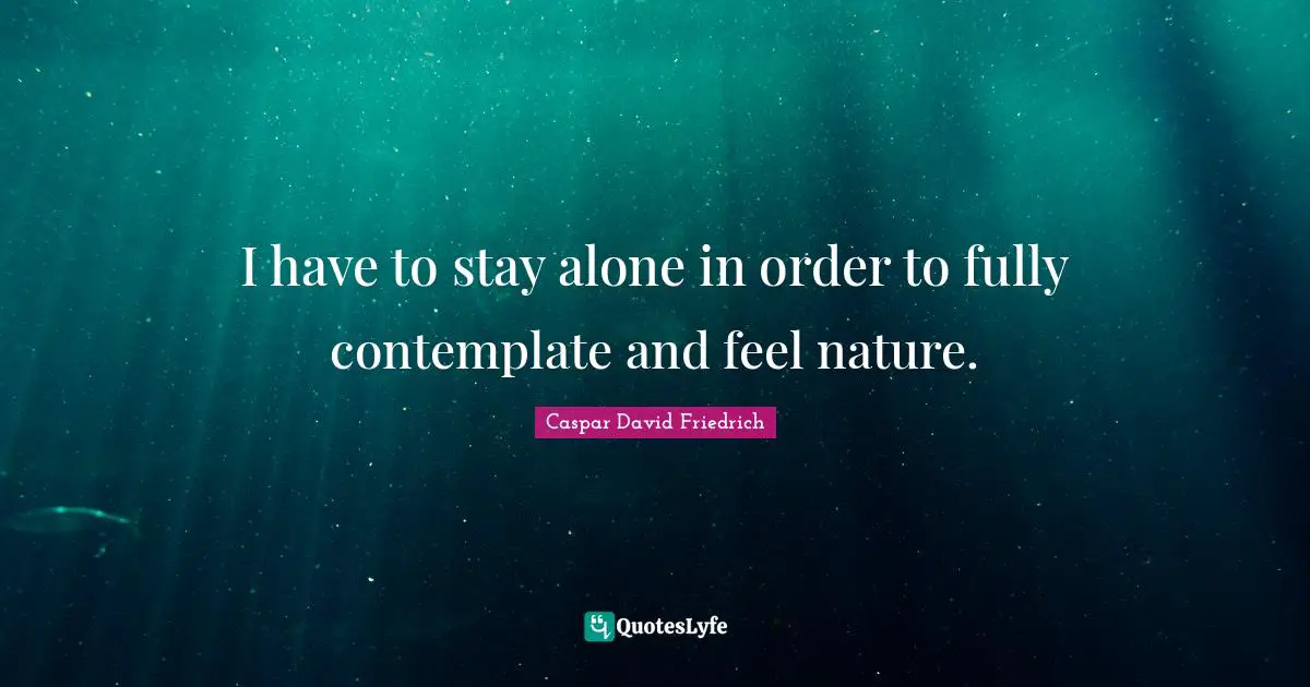 Caspar David Friedrich Quotes: "I have to stay alone in order to fully contemplate and feel nature."