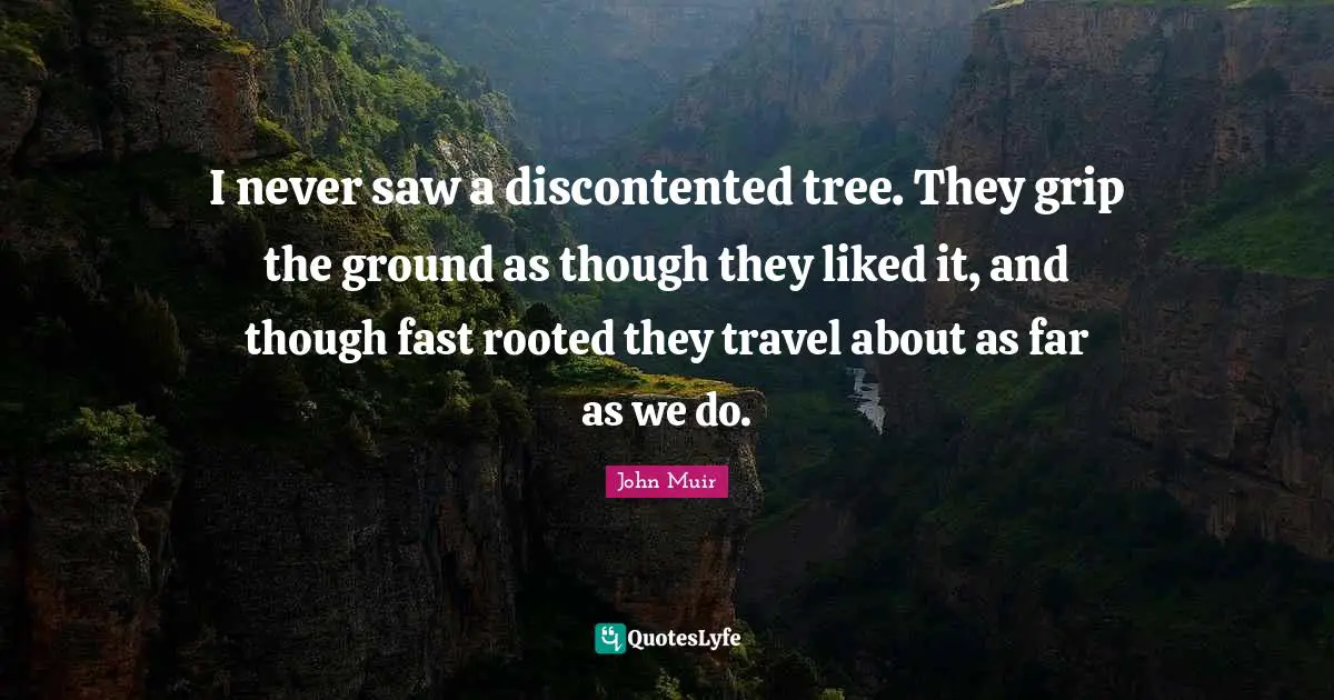 I never saw a discontented tree. They grip the ground as though they liked it, and though fast rooted they travel about as far as we do.