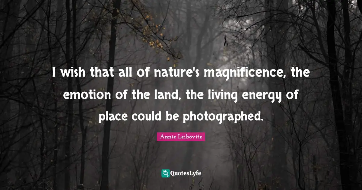I wish that all of nature's magnificence, the emotion of the land, the living energy of place could be photographed.