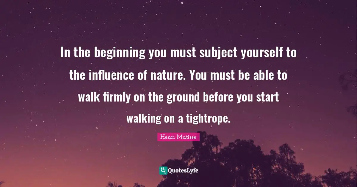 In the beginning you must subject yourself to the influence of nature. You must be able to walk firmly on the ground before you start walking on a tightrope.