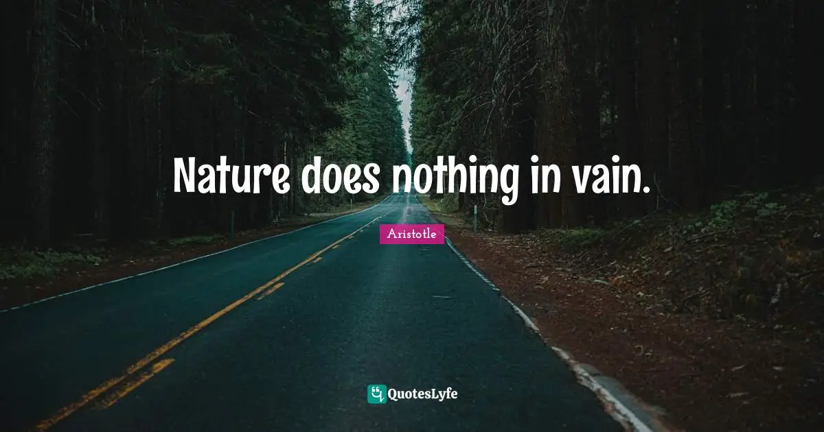 Nature does nothing in vain.
