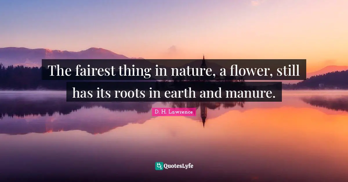 The fairest thing in nature, a flower, still has its roots in earth and manure.