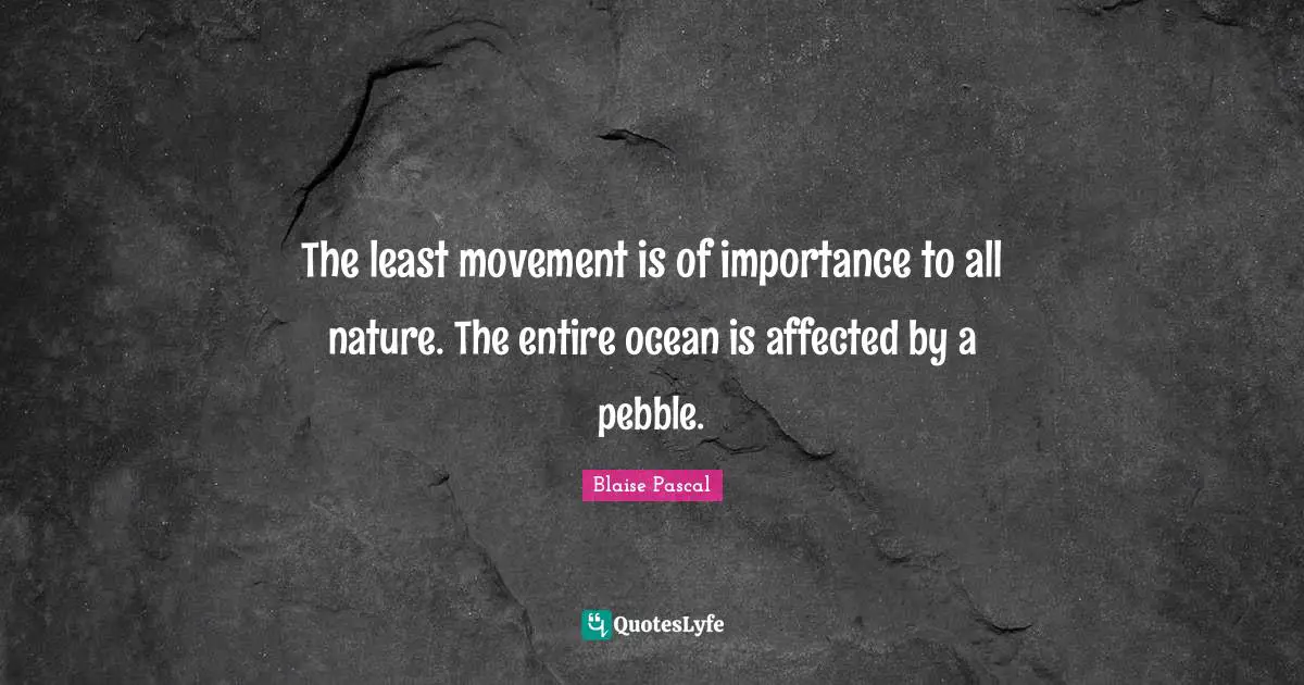 Entire Quotes: "The least movement is of importance to all nature. The entire ocean is affected by a pebble."