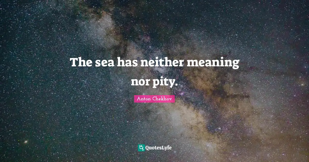 The sea has neither meaning nor pity.