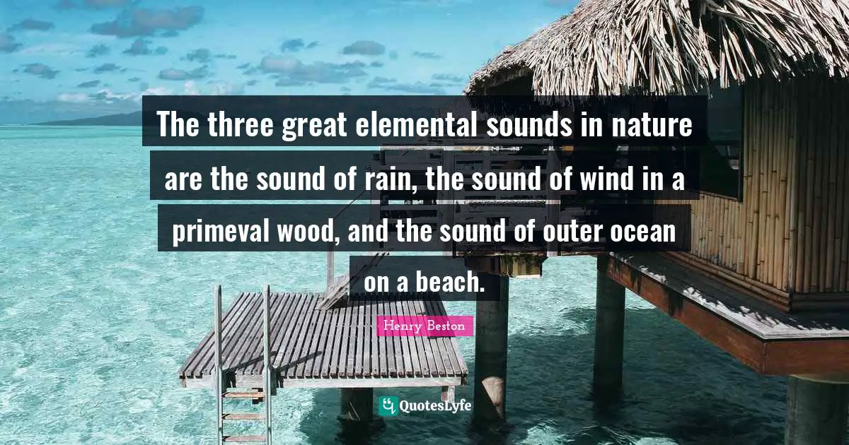 Rain Quotes: "The three great elemental sounds in nature are the sound of rain, the sound of wind in a primeval wood, and the sound of outer ocean on a beach."