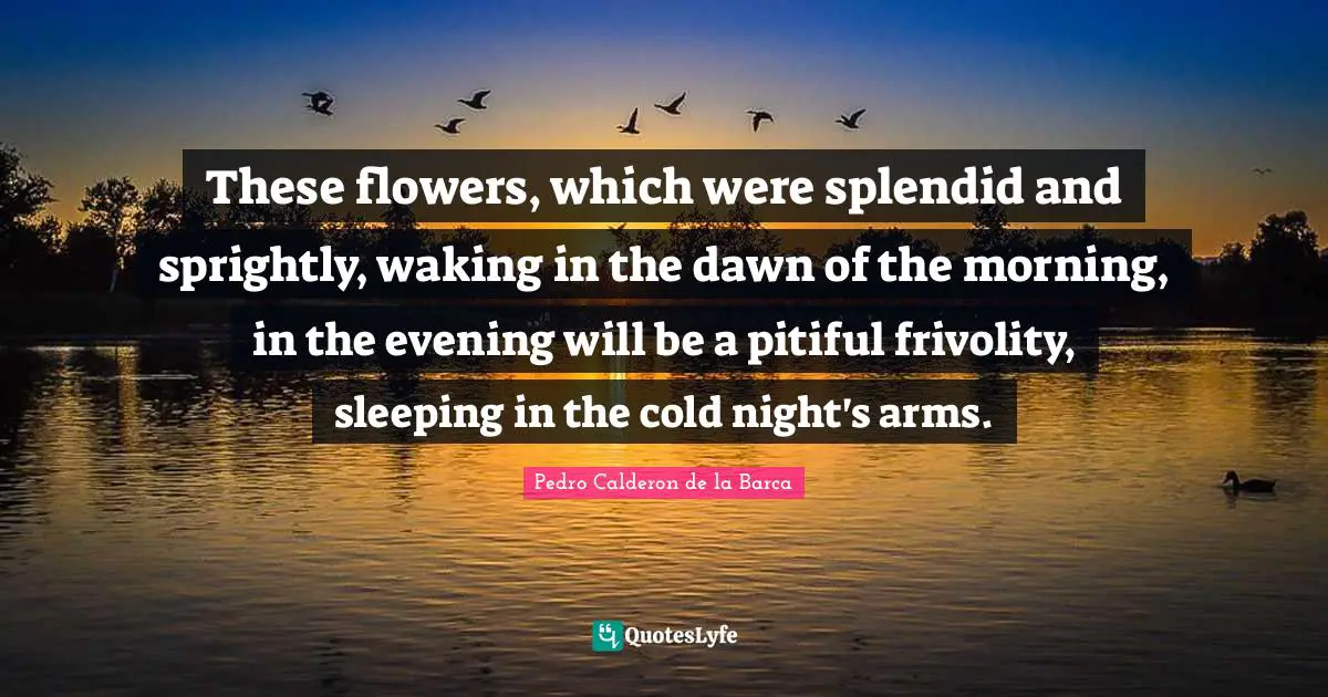 These flowers, which were splendid and sprightly, waking in the dawn of the morning, in the evening will be a pitiful frivolity, sleeping in the cold night's arms.