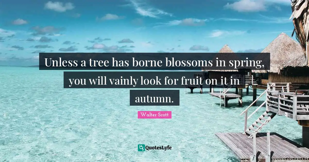 Walter Scott Quotes: Unless a tree has borne blossoms in spring, you will vainly look for fruit on it in autumn.