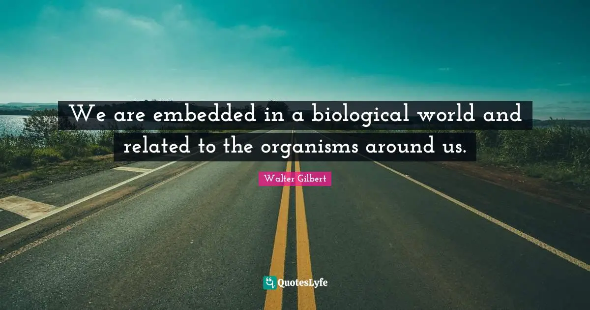 We are embedded in a biological world and related to the organisms around us.