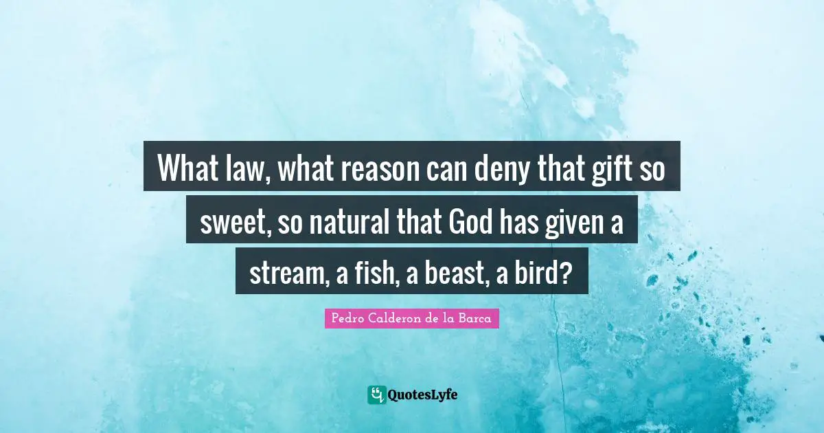 Pedro Calderon De La Barca Quotes: "What law, what reason can deny that gift so sweet, so natural that God has given a stream, a fish, a beast, a bird?"