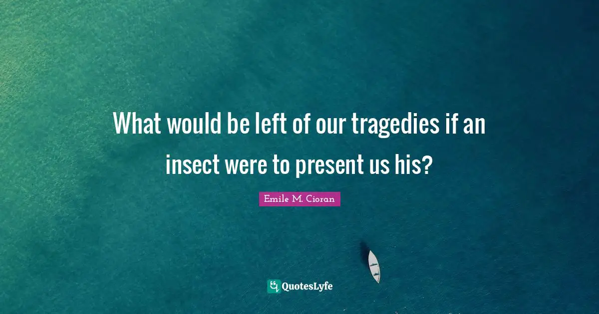 What would be left of our tragedies if an insect were to present us his?