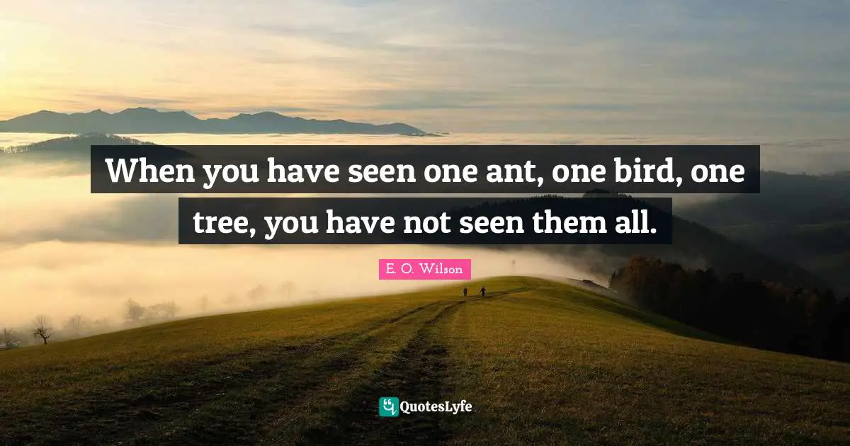 When you have seen one ant, one bird, one tree, you have not seen them all.