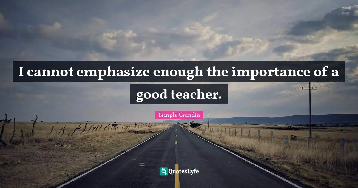 I cannot emphasize enough the importance of a good teacher.