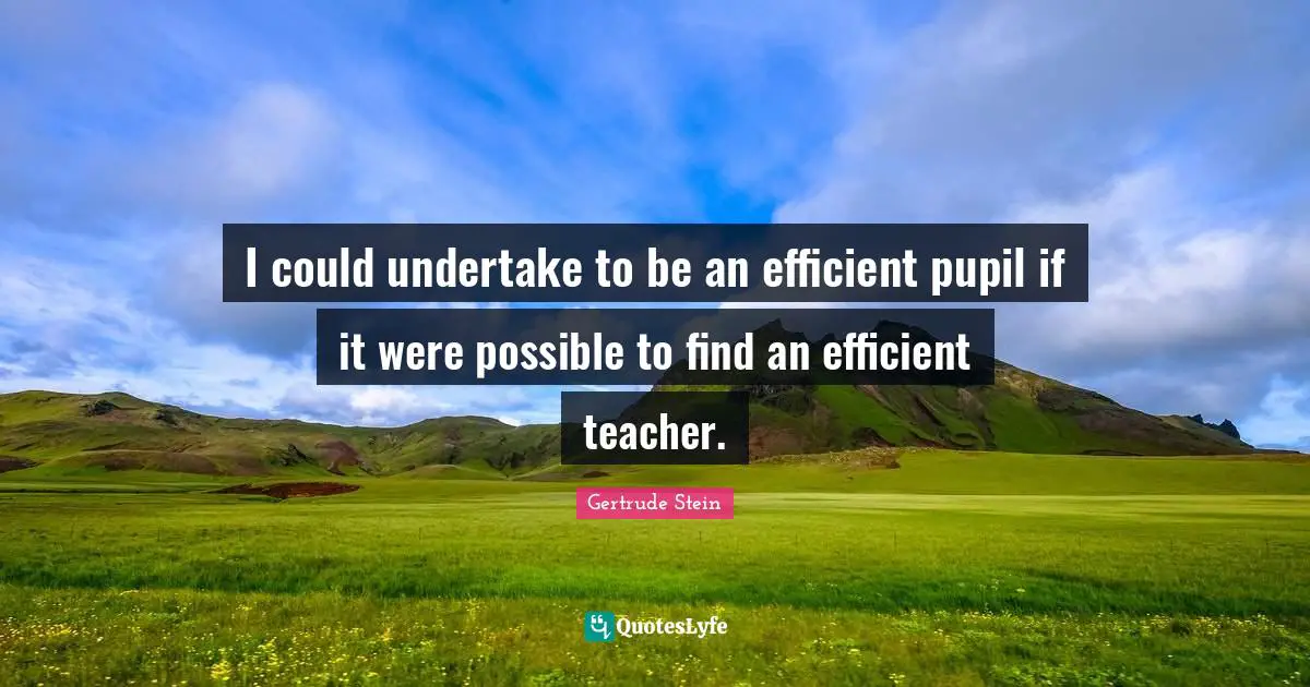 I could undertake to be an efficient pupil if it were possible to find an efficient teacher.
