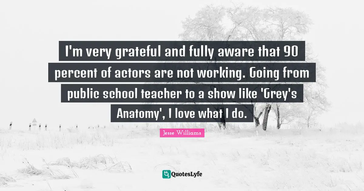 I'm very grateful and fully aware that 90 percent of actors are not working. Going from public school teacher to a show like 'Grey's Anatomy', I love what I do.