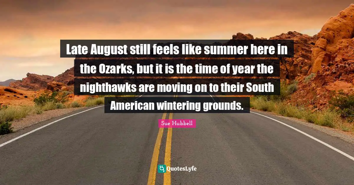 Late August still feels like summer here in the Ozarks, but it is the time of year the nighthawks are moving on to their South American wintering grounds.