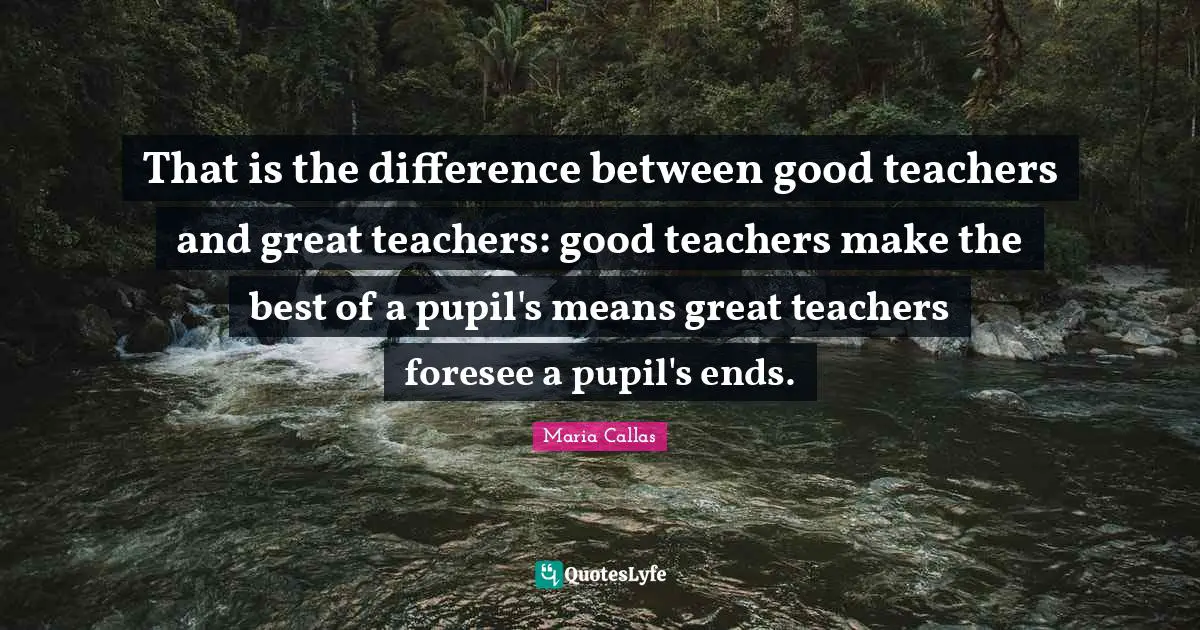 That is the difference between good teachers and great teachers: good teachers make the best of a pupil's means great teachers foresee a pupil's ends.