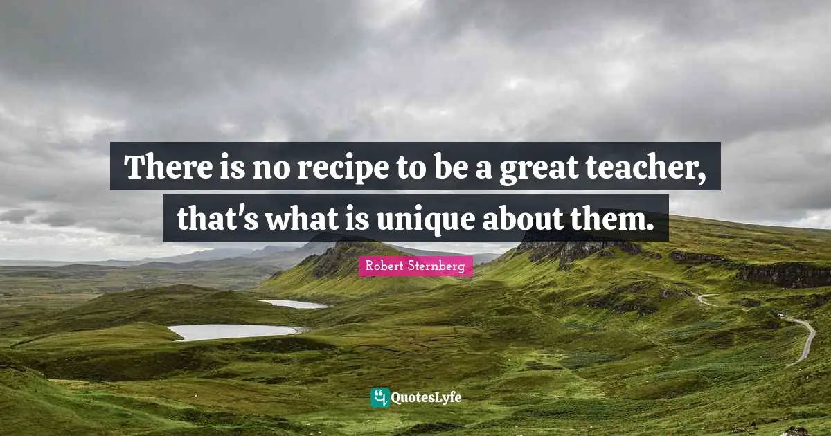 There is no recipe to be a great teacher, that's what is unique about them.