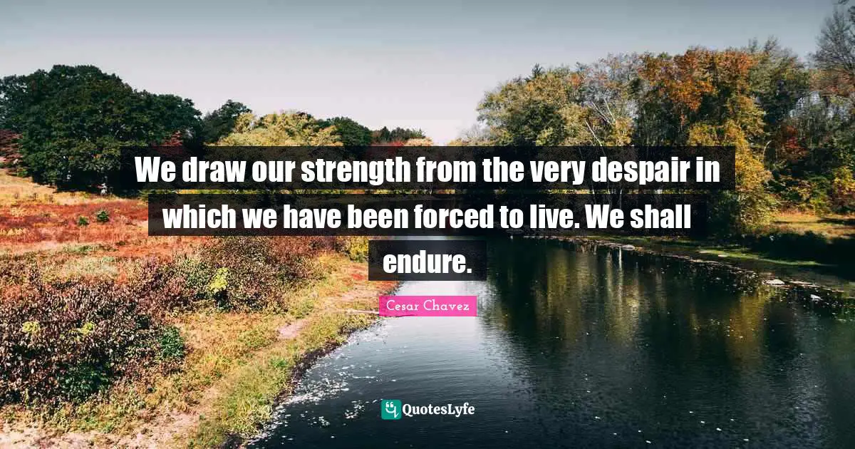 Cesar Chavez Quotes: We draw our strength from the very despair in which we have been forced to live. We shall endure.