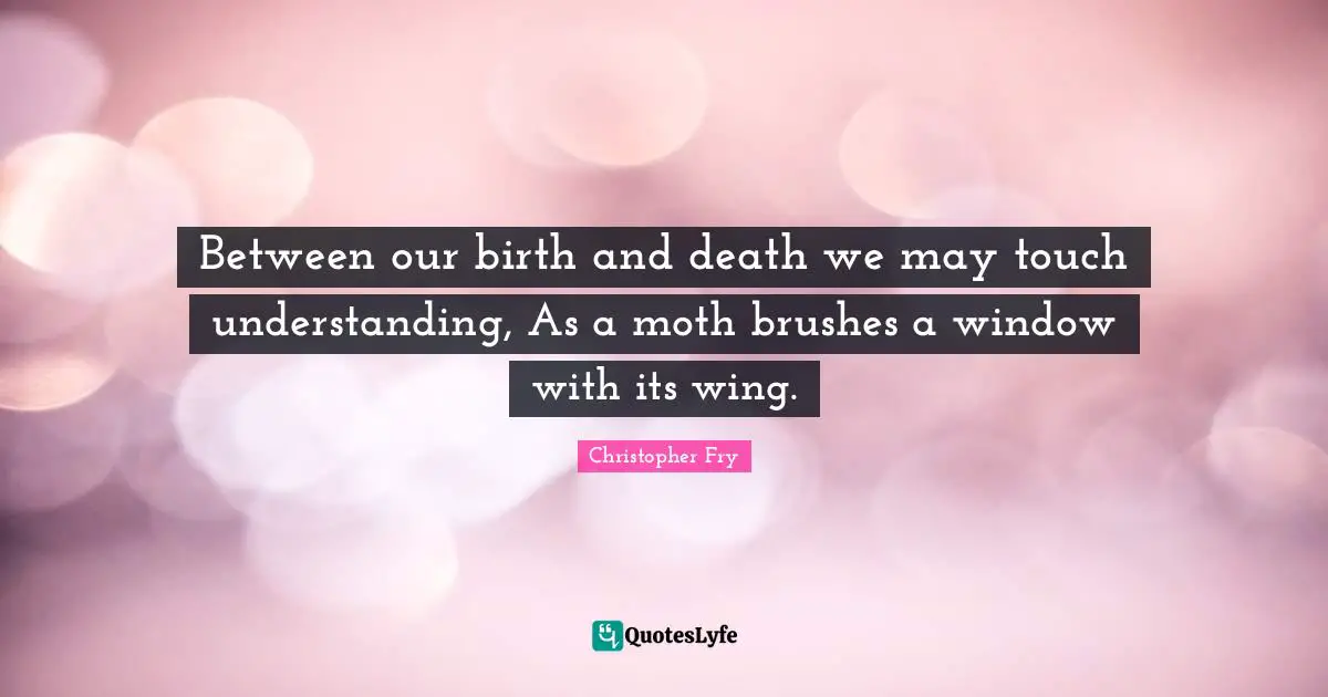 Between our birth and death we may touch understanding, As a moth brushes a window with its wing.