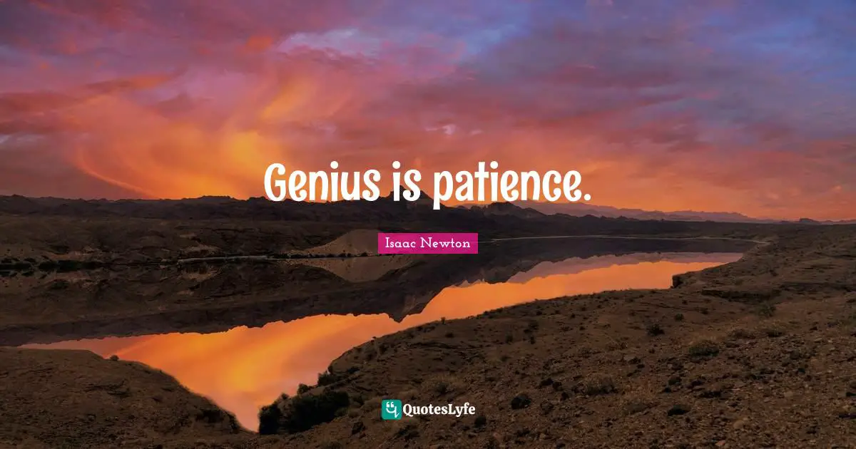 Genius is patience.