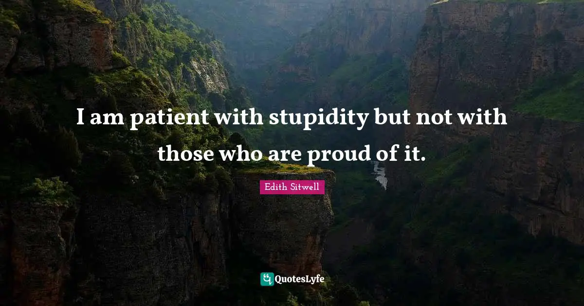 Be Proud Quotes: "I am patient with stupidity but not with those who are proud of it."