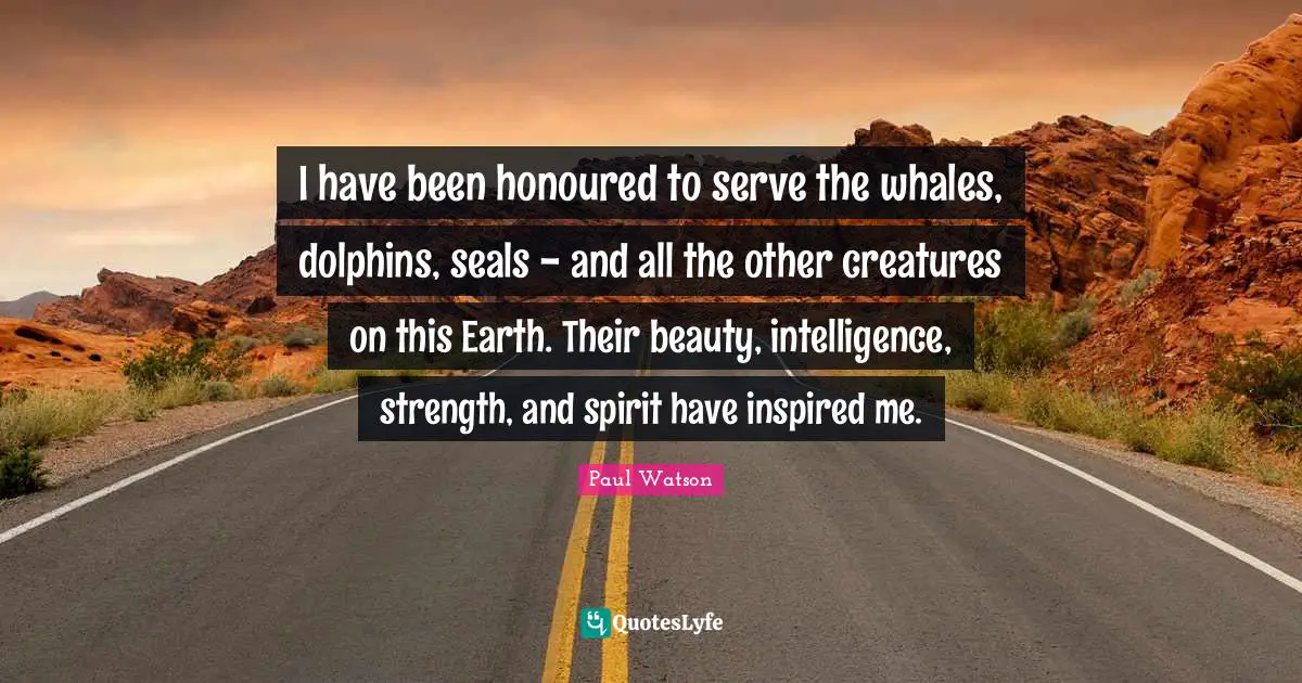 I have been honoured to serve the whales, dolphins, seals - and all the other creatures on this Earth. Their beauty, intelligence, strength, and spirit have inspired me.