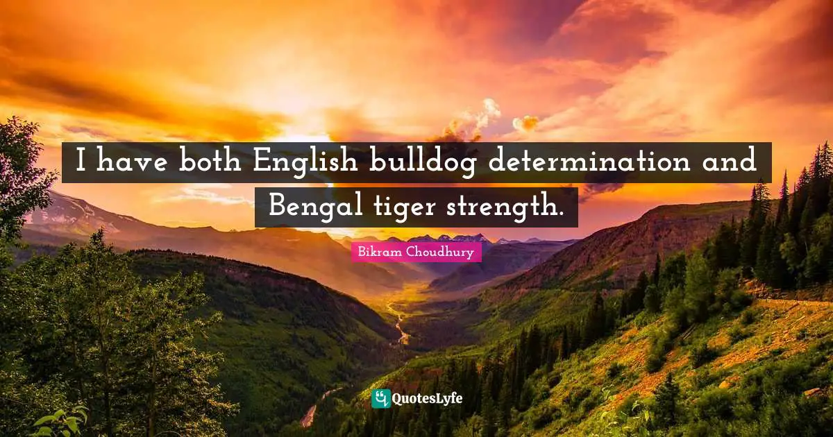 I have both English bulldog determination and Bengal tiger strength.