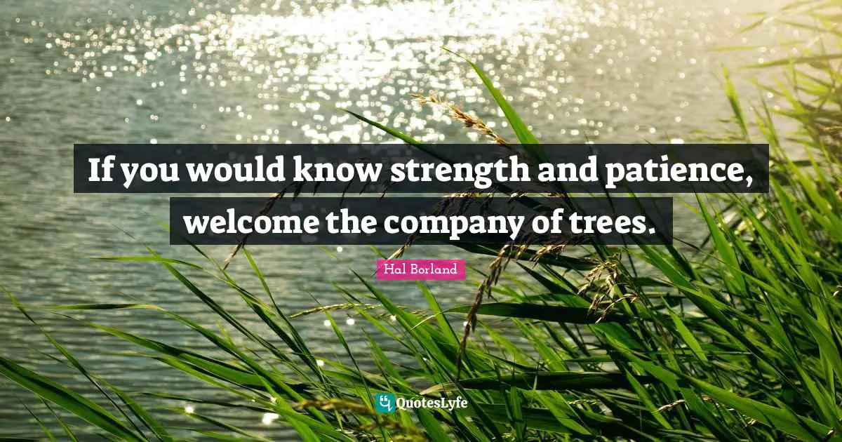 If you would know strength and patience, welcome the company of trees.