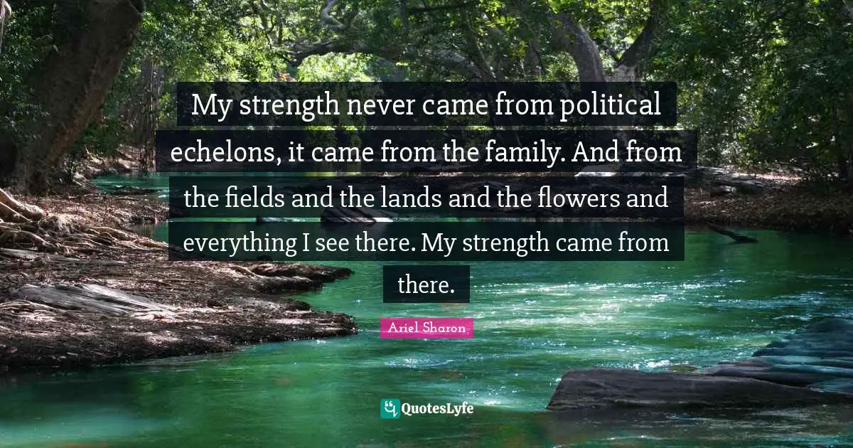 My strength never came from political echelons, it came from the family. And from the fields and the lands and the flowers and everything I see there. My strength came from there.