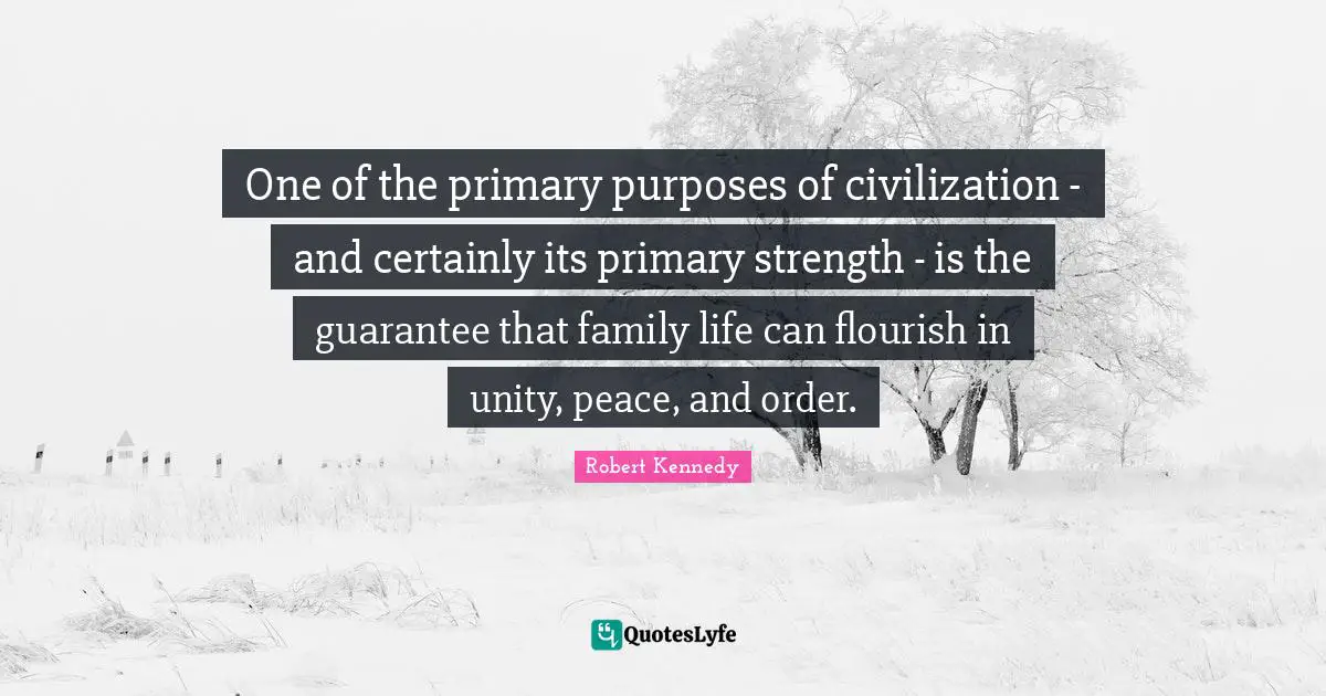 One of the primary purposes of civilization - and certainly its primary strength - is the guarantee that family life can flourish in unity, peace, and order.