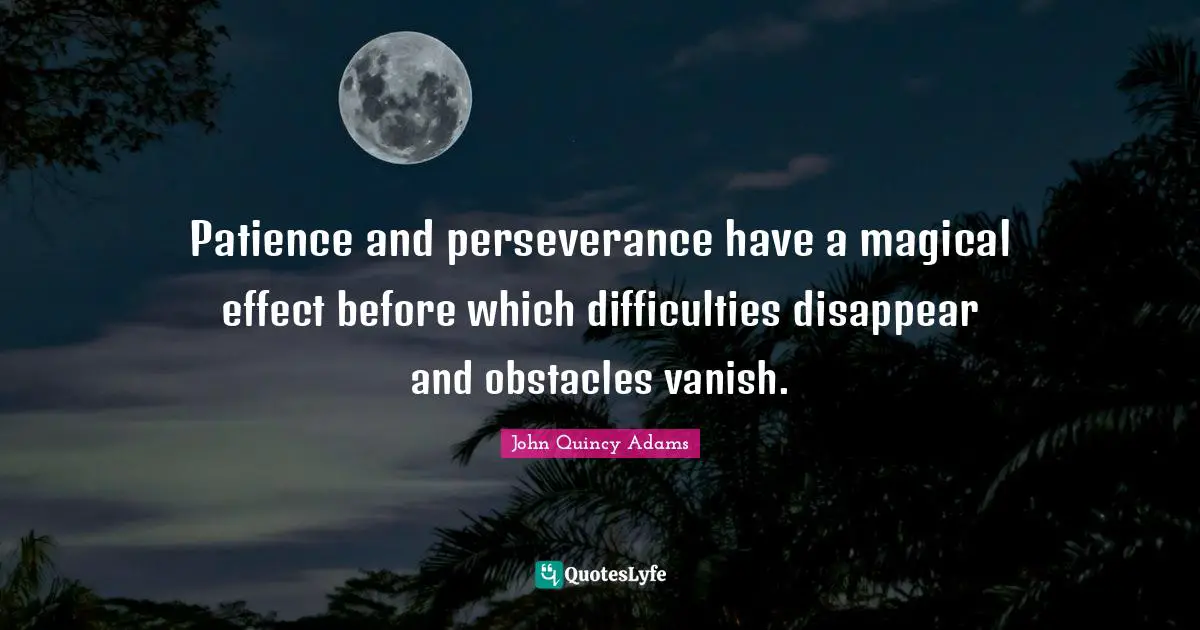 Patience and perseverance have a magical effect before which difficulties disappear and obstacles vanish.
