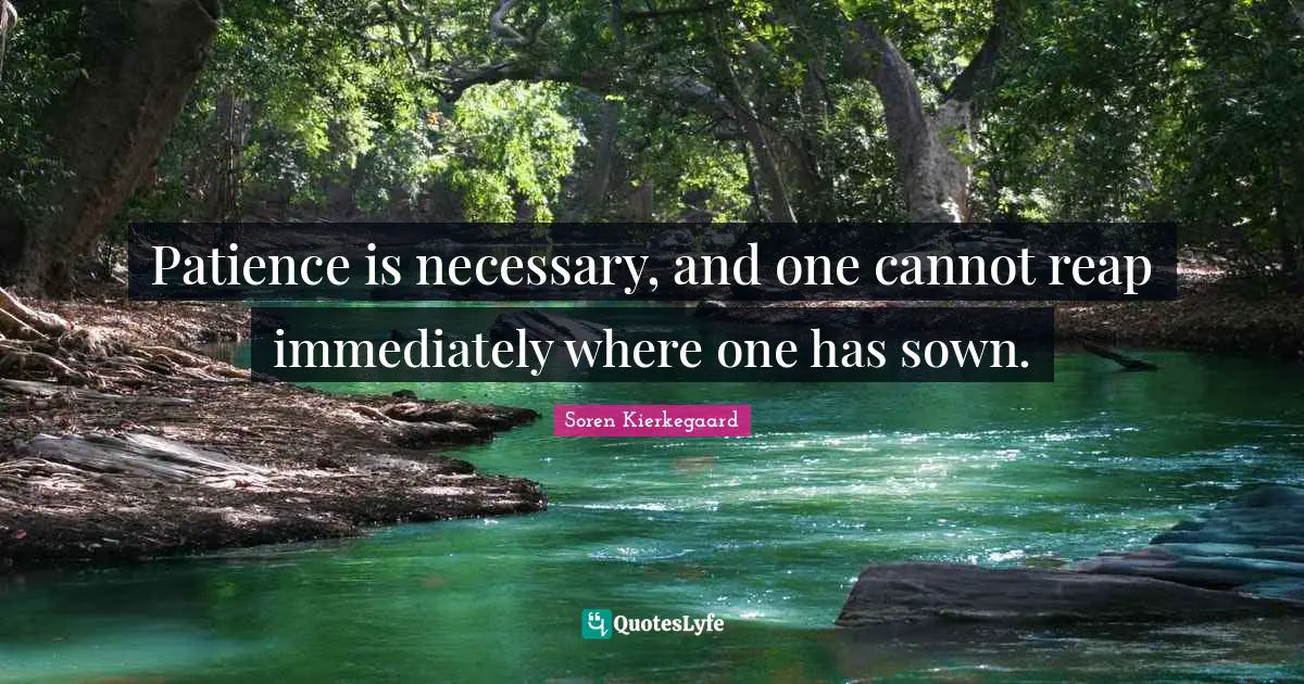 Soren Kierkegaard Quotes: Patience is necessary, and one cannot reap immediately where one has sown.